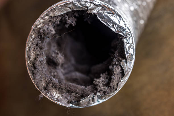 Best Air Vent Cleaning Services  in Oakwood, PA